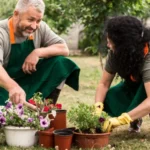 garden guide homenumental