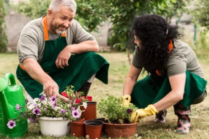 garden guide homenumental