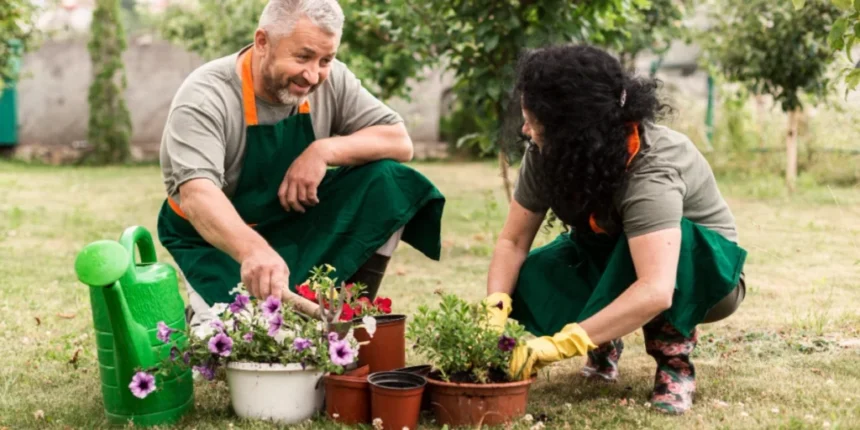 garden guide homenumental