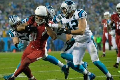 arizona cardinals vs carolina panthers match player stats