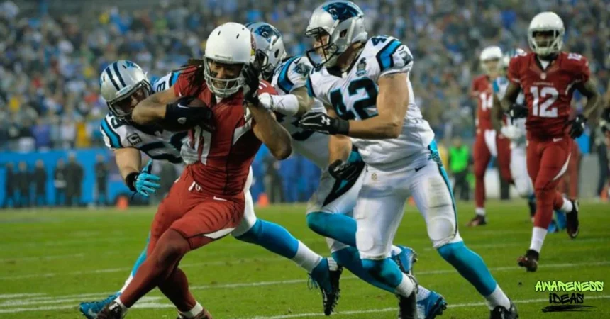 arizona cardinals vs carolina panthers match player stats